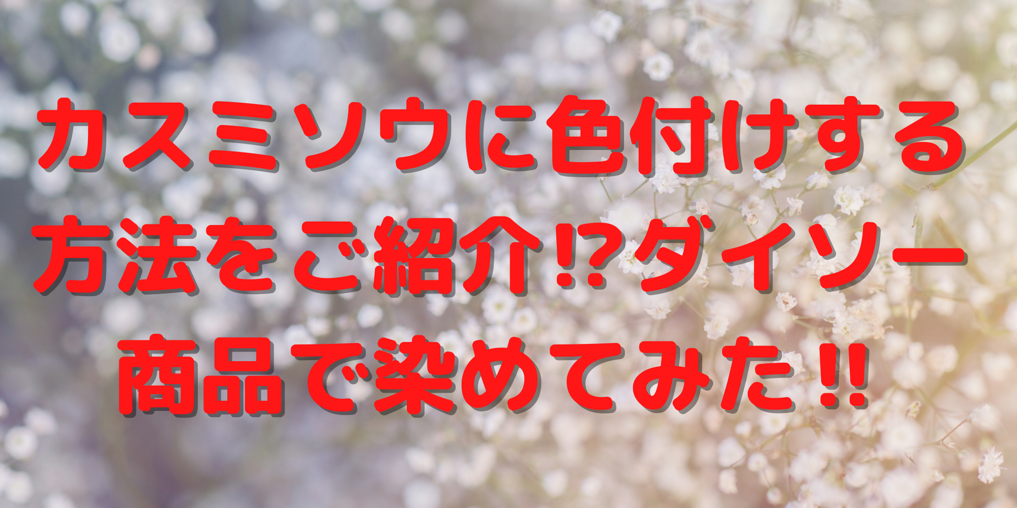 カスミソウに色付けする方法をご紹介 ダイソー商品で染めてみた 暮らしぷらす